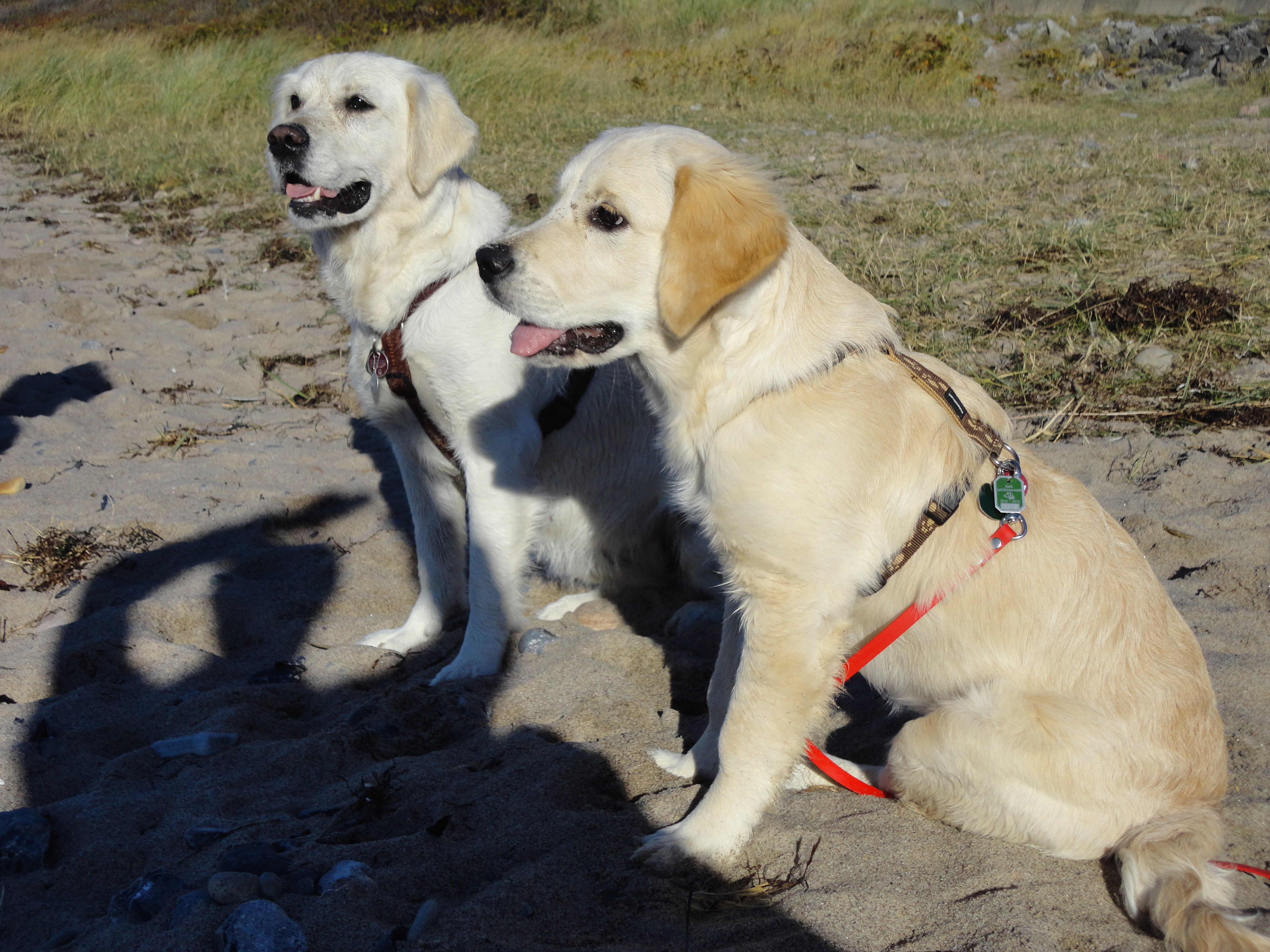 Lissy und Enya Rügen