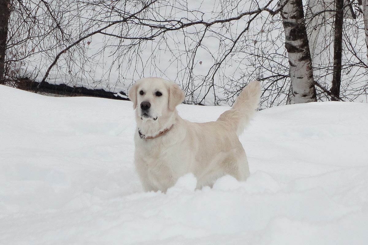 Lissy Young im Schnee