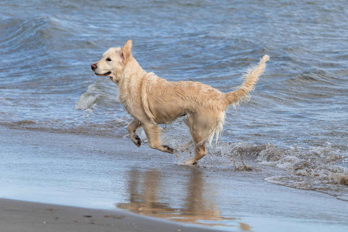 Summer im Wasser Rennend 2