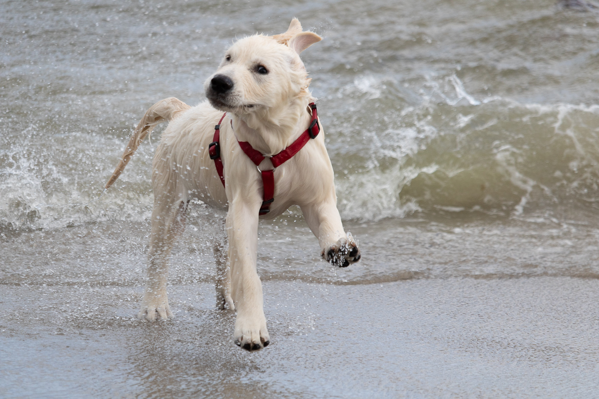 Miley spielt im Wasser