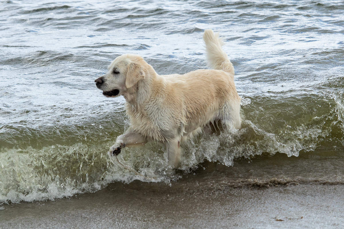 Lissy im Meer 1