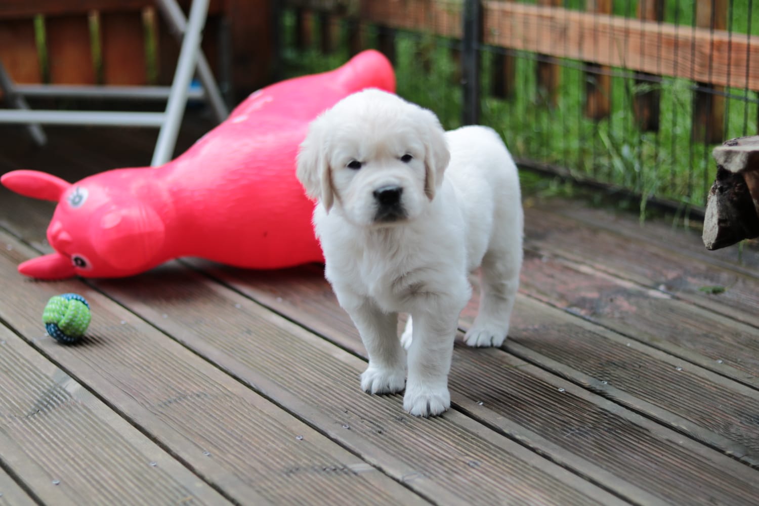 Juli Baby Terrasse