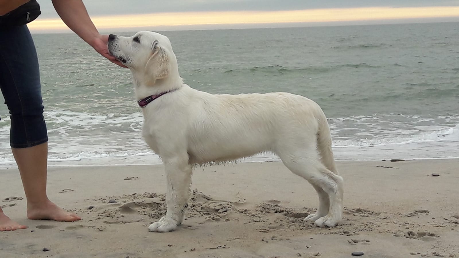 Juli Stand Strand