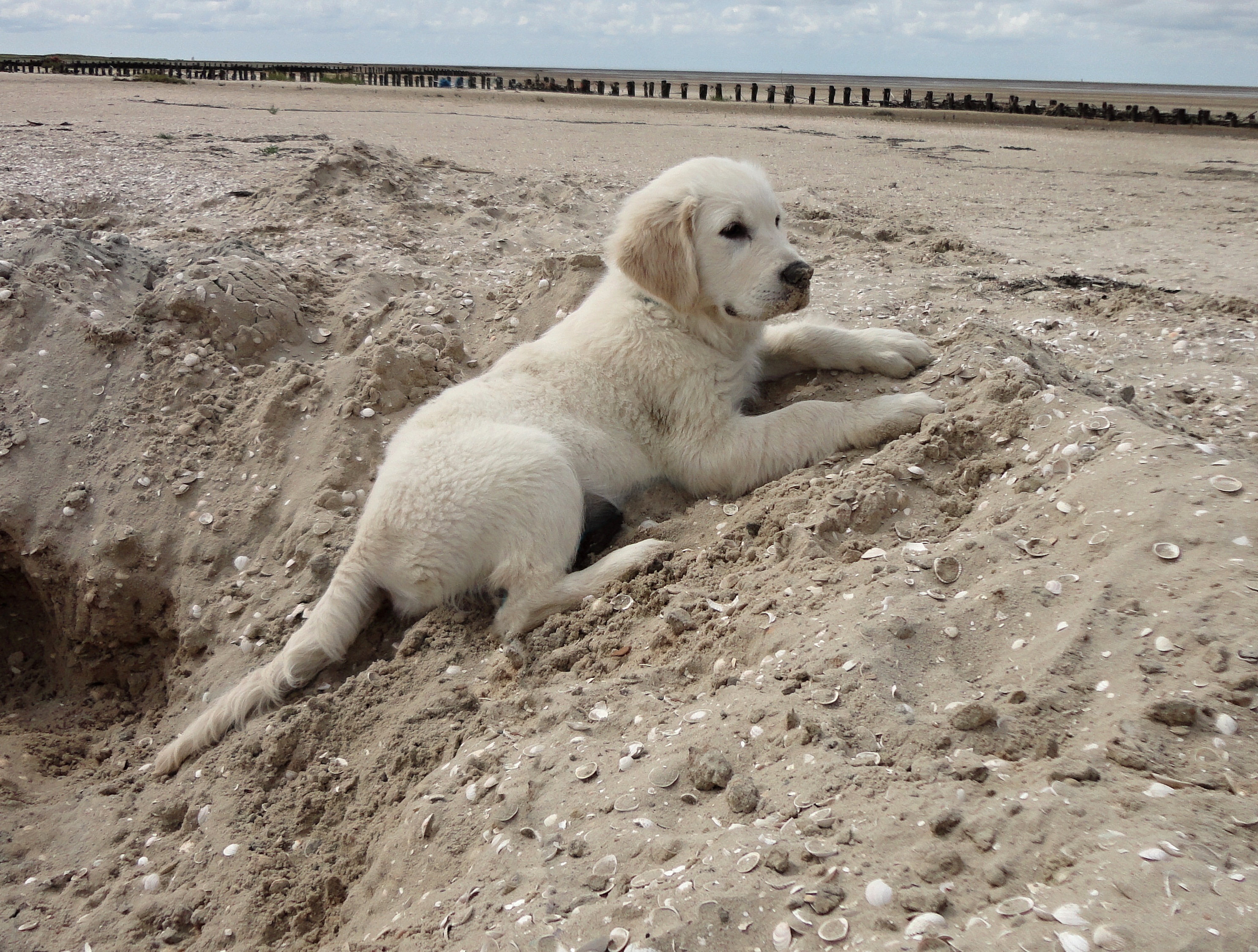 Urlaub Holland 2014