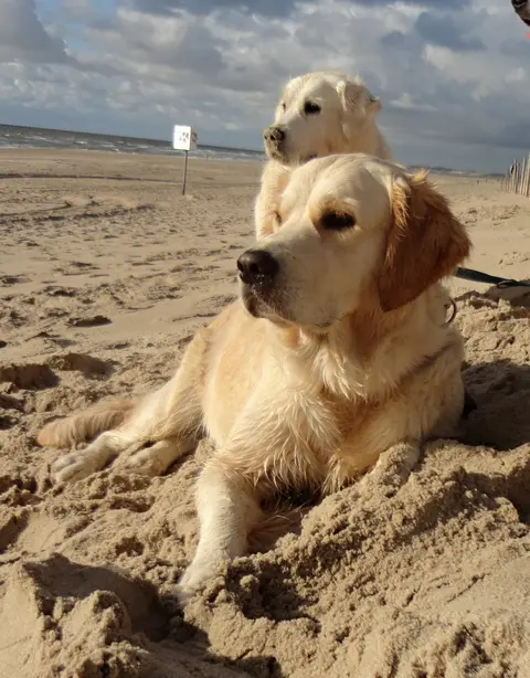 Urlaub Holland 2014 Urlaub Holland 2014