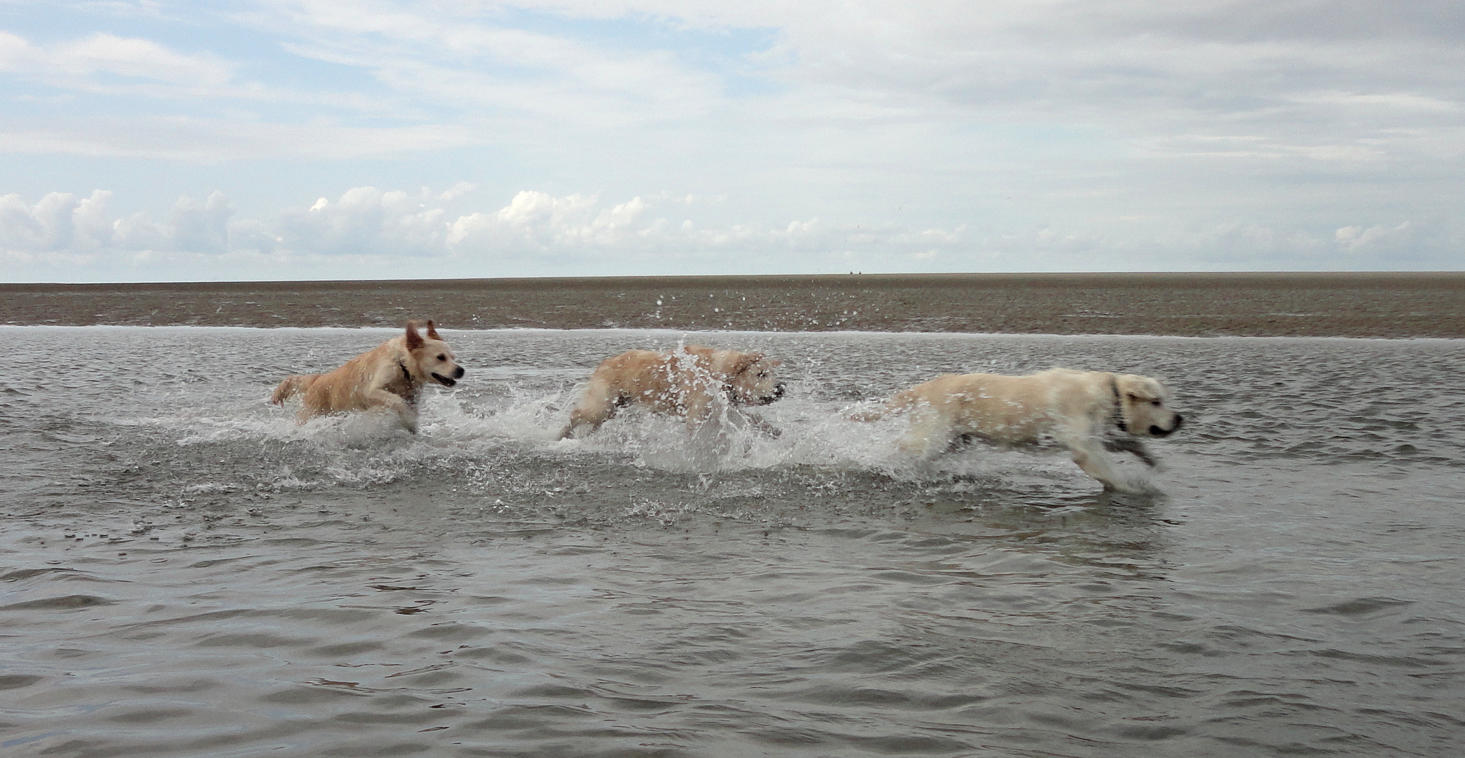 Urlaub Holland 2014