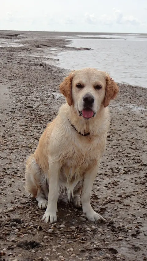 Urlaub Holland 2014 Urlaub Holland 2014