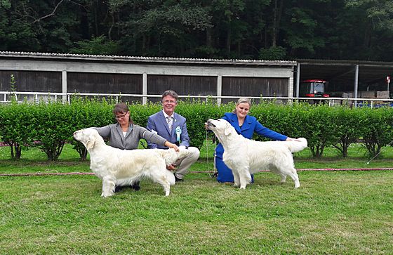 Summer Ausstellung Arau Hendrik